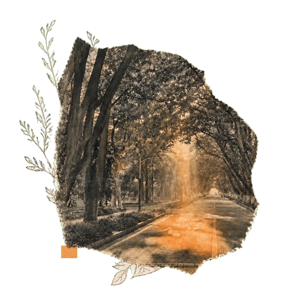 A minimal zine collage of a sunlit tree-lined road
